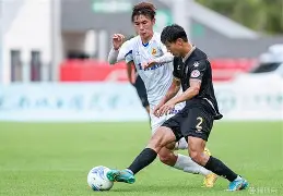 多米娱乐-全国足球联赛冠军