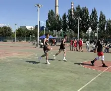 动画直播-比赛中队员人数多少符合要求