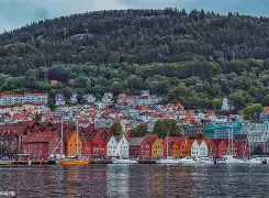 多米真人-挪威nhh