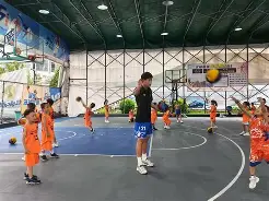 多米电竞-青少年篮球执教